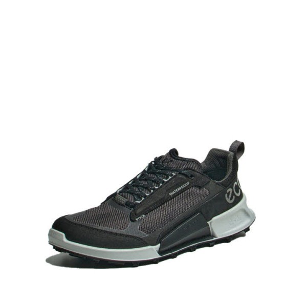 Ecco Biom 2.1 Mountain M Low