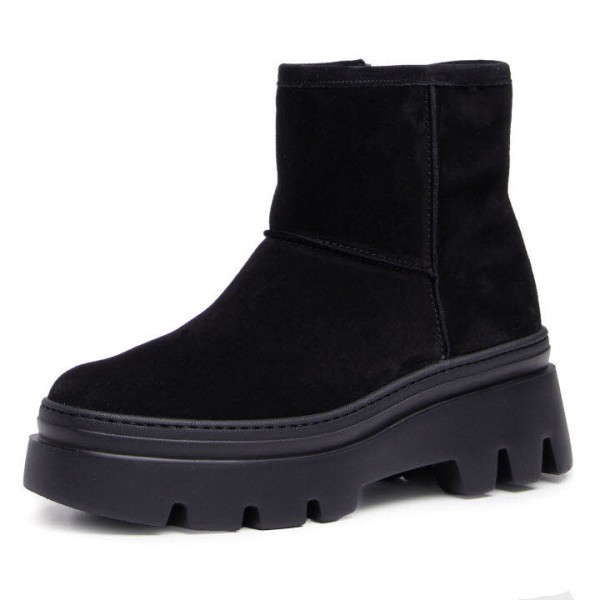 Paul Green 8113-014