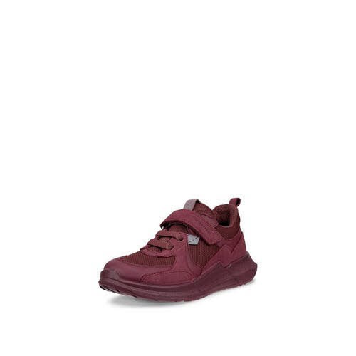 Ecco Biom 2.2 K Wp