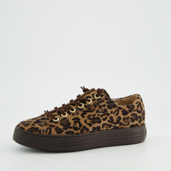 Paul Green 4081-702