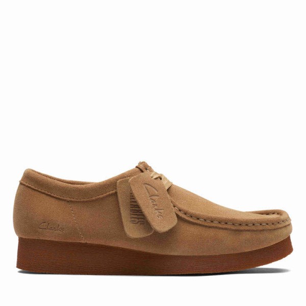 Clarks W. WallabeeEVOSh