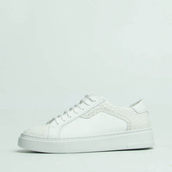 Galizio Torresi V19464