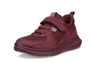 Ecco Biom 2.2 K Wp