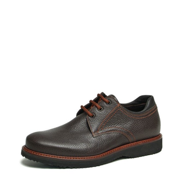 6600050 ALCE 110 TDM