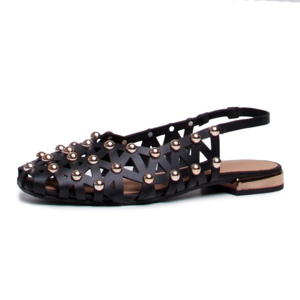 75135-CALAMUS NEGRO