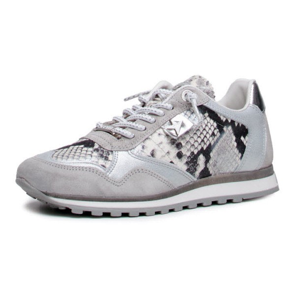 Cetti C848 SRA ANTE SNAKE MINERAL