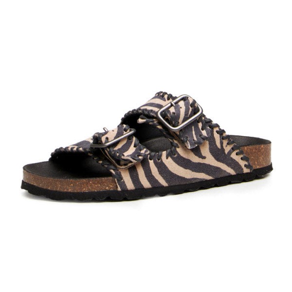 Verbenas Randel Zebra Craft