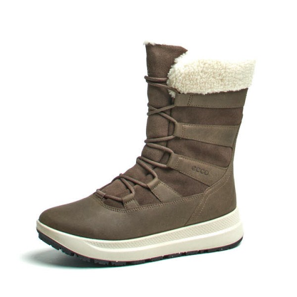 Ecco 420213-55779